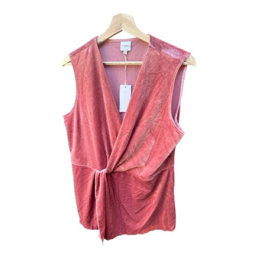 Anthropologie Pleione Velvet Top